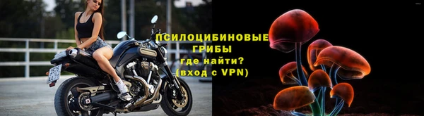 стафф Гусь-Хрустальный