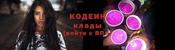 метадон Гусев