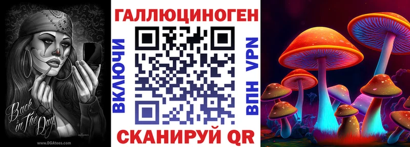 Купить где  Сосногорск  Галлюциногенные грибы мицелий 